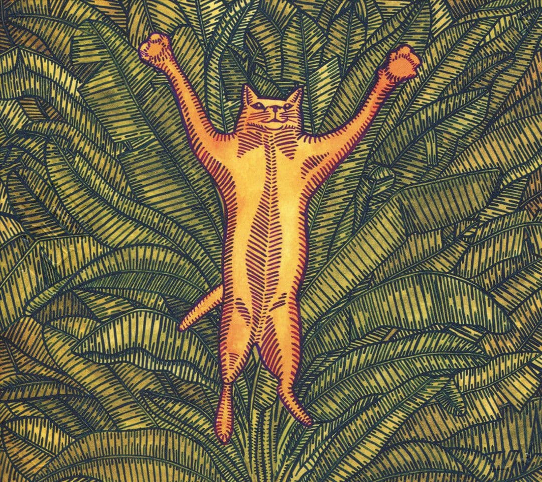 Gatos do sul