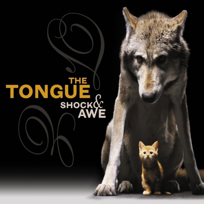 Shock & Awe
