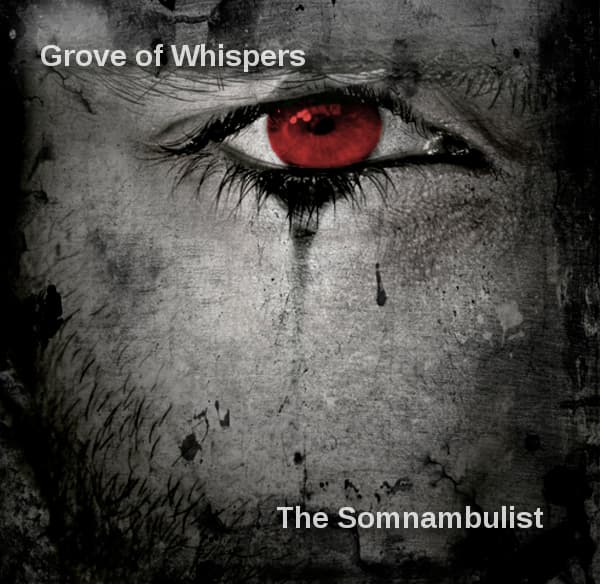 The Somnambulist
