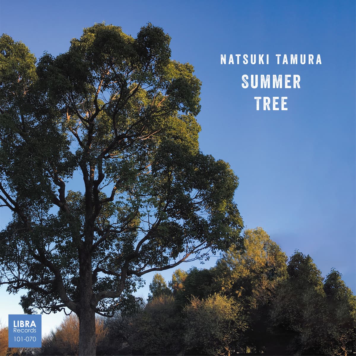 Summer Tree