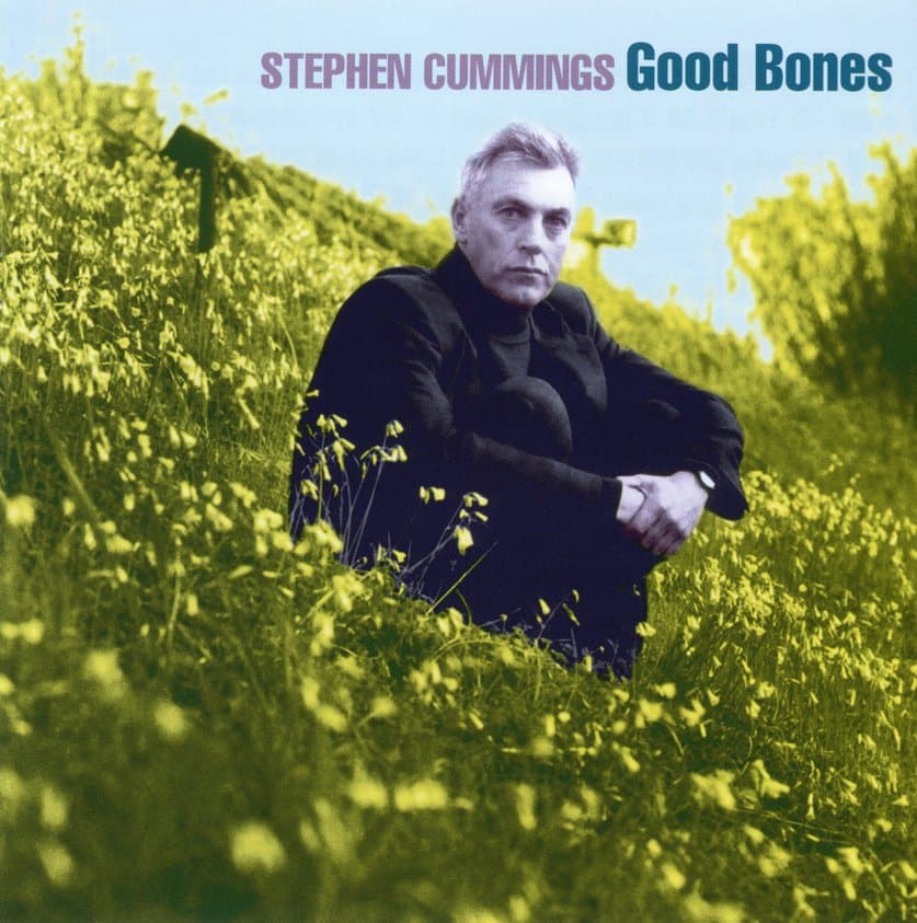 Good Bones