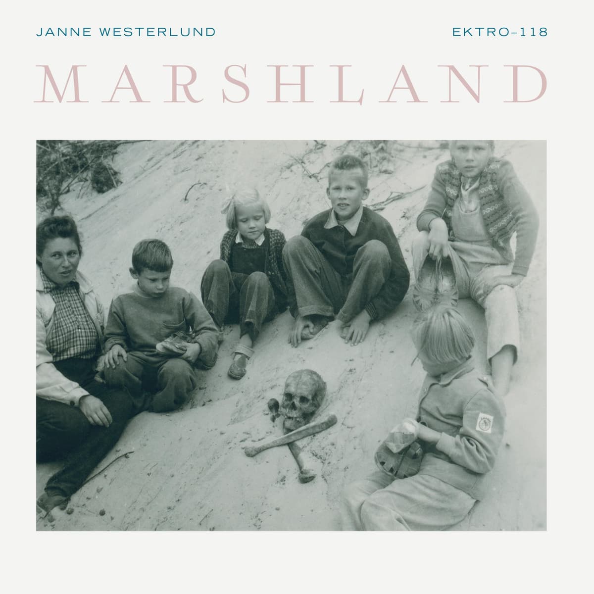 Marshland
