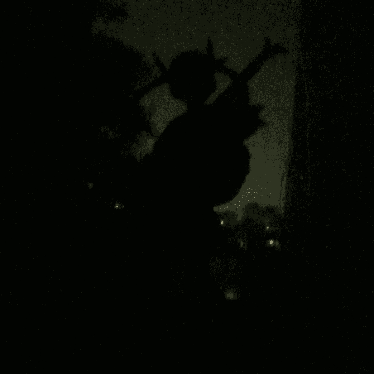 2:36AM Storm at Night (Recorded From My Room with the Window Closed)