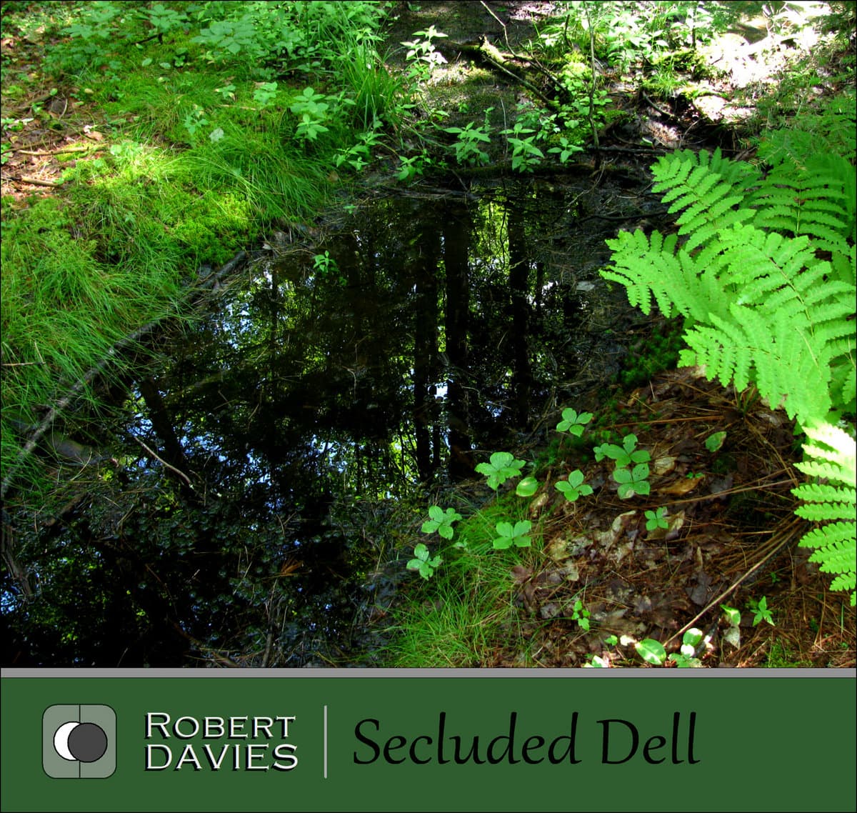 Secluded Dell