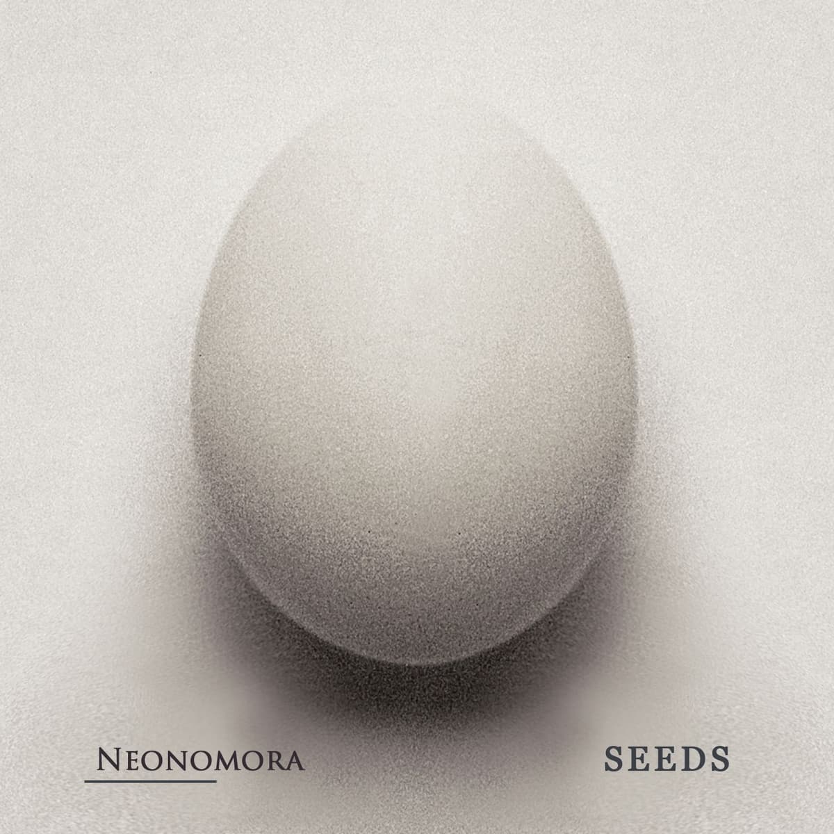 Seeds