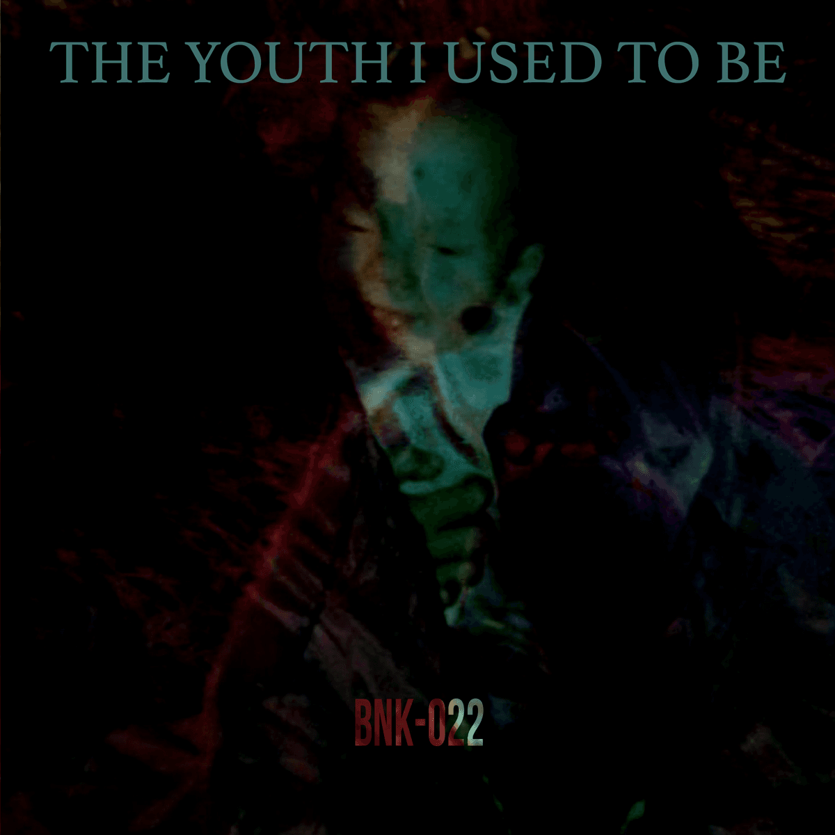 The Youth I Used to Be