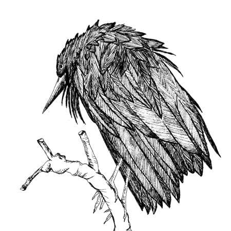 Little Sparrow