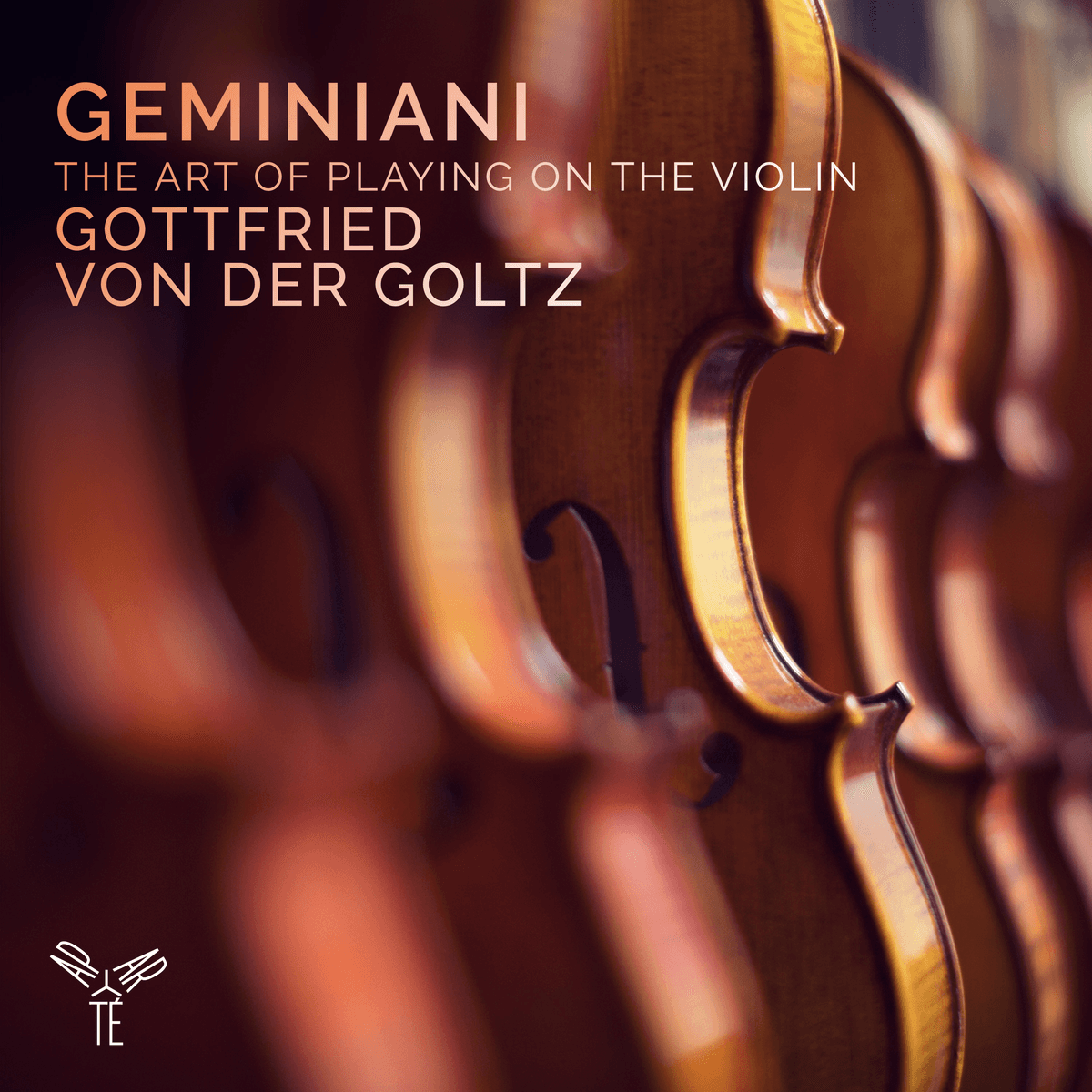 The Art of Playing on the Violin