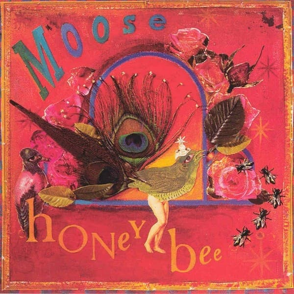 Honey Bee