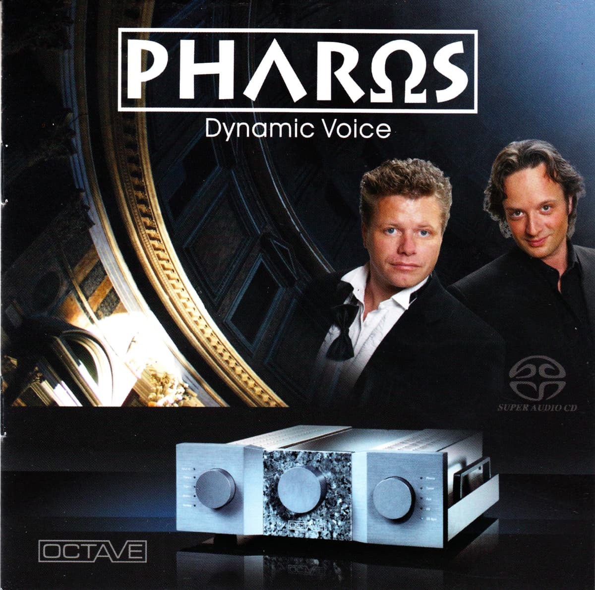 Dynamic Voice