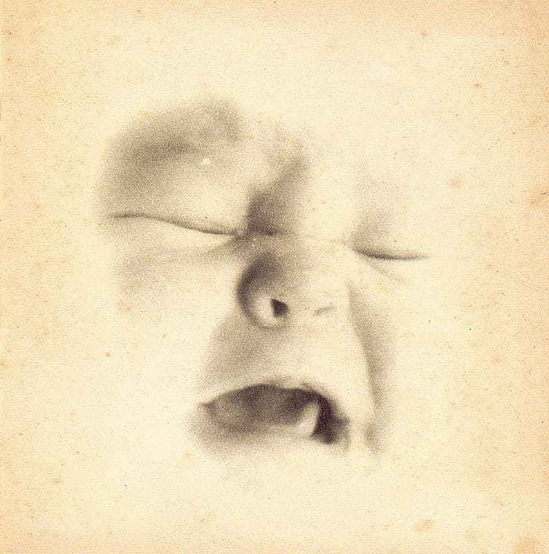 Welcome to the Infant Freebase