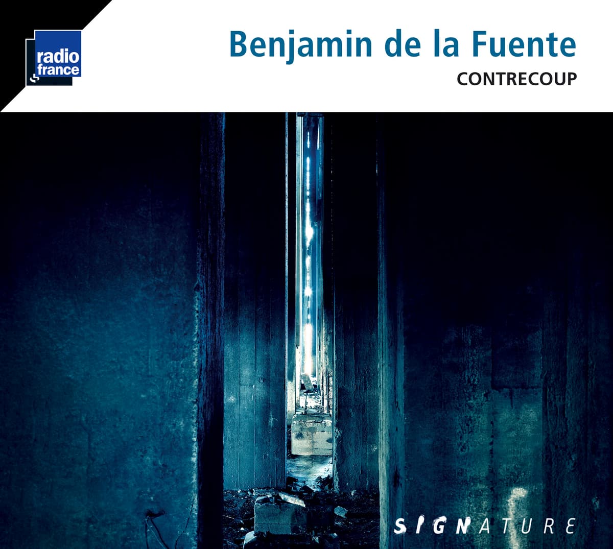 Contrecoup