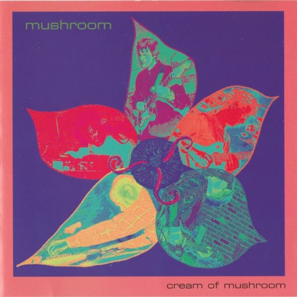 Cream of Mushroom
