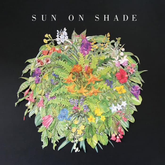 Sun on Shade