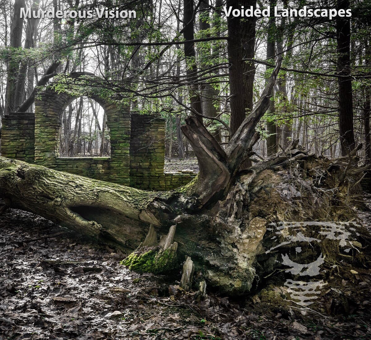 Voided Landscapes