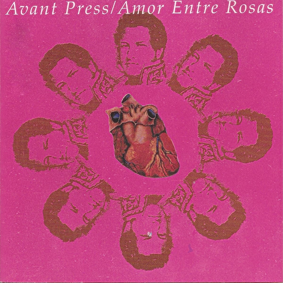 Amor entre rosas