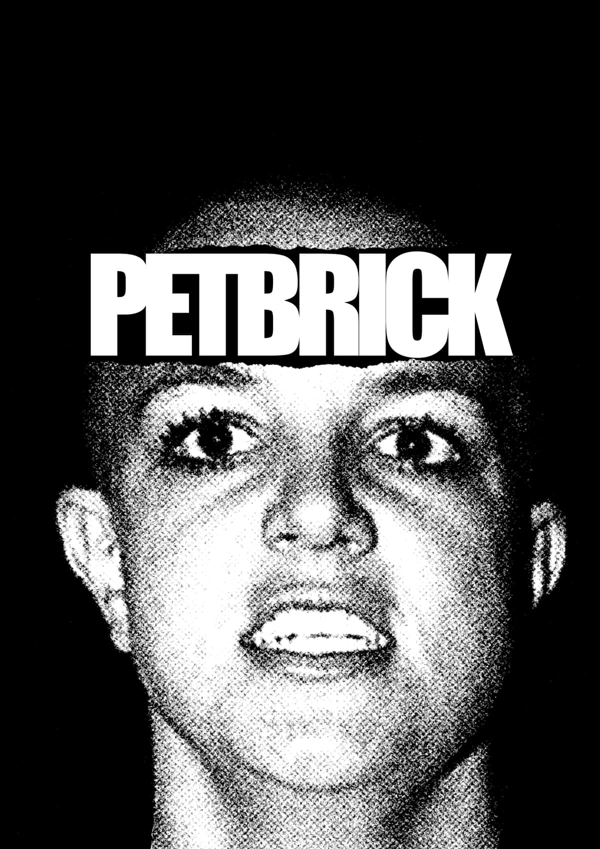 Petbrick