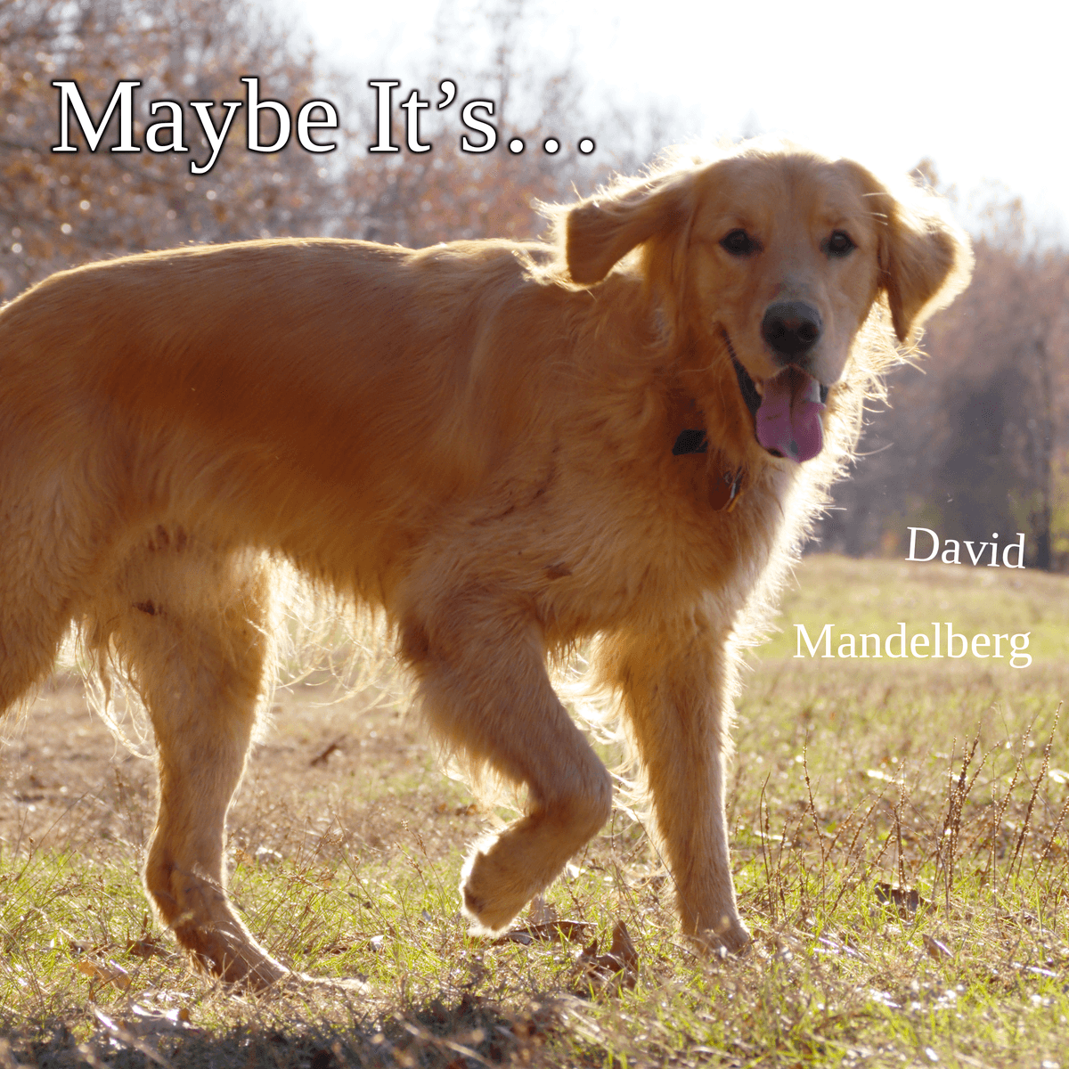 Maybe It’s…