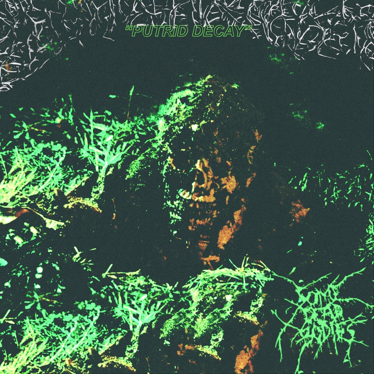 Putrid Decay