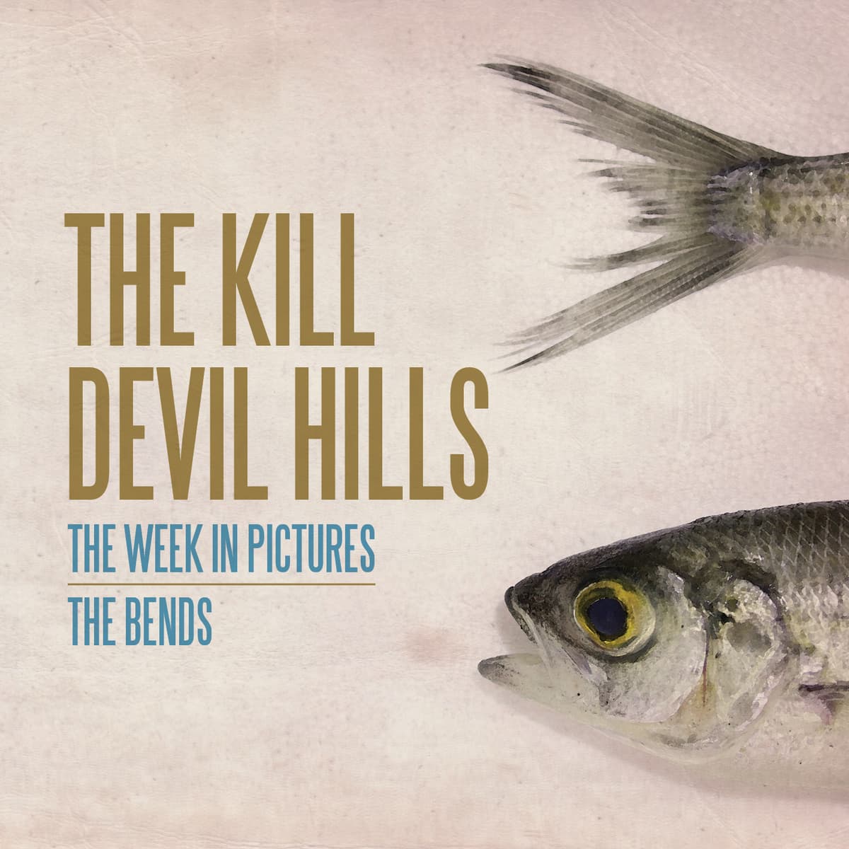 The Week in Pictures / The Bends