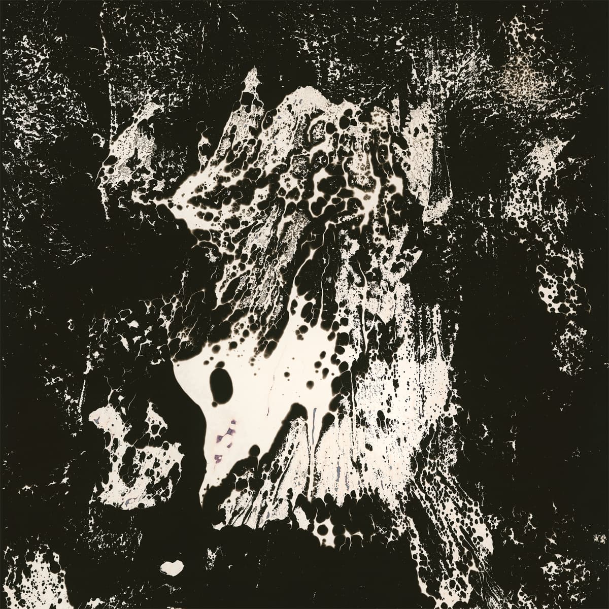 KAMI 神