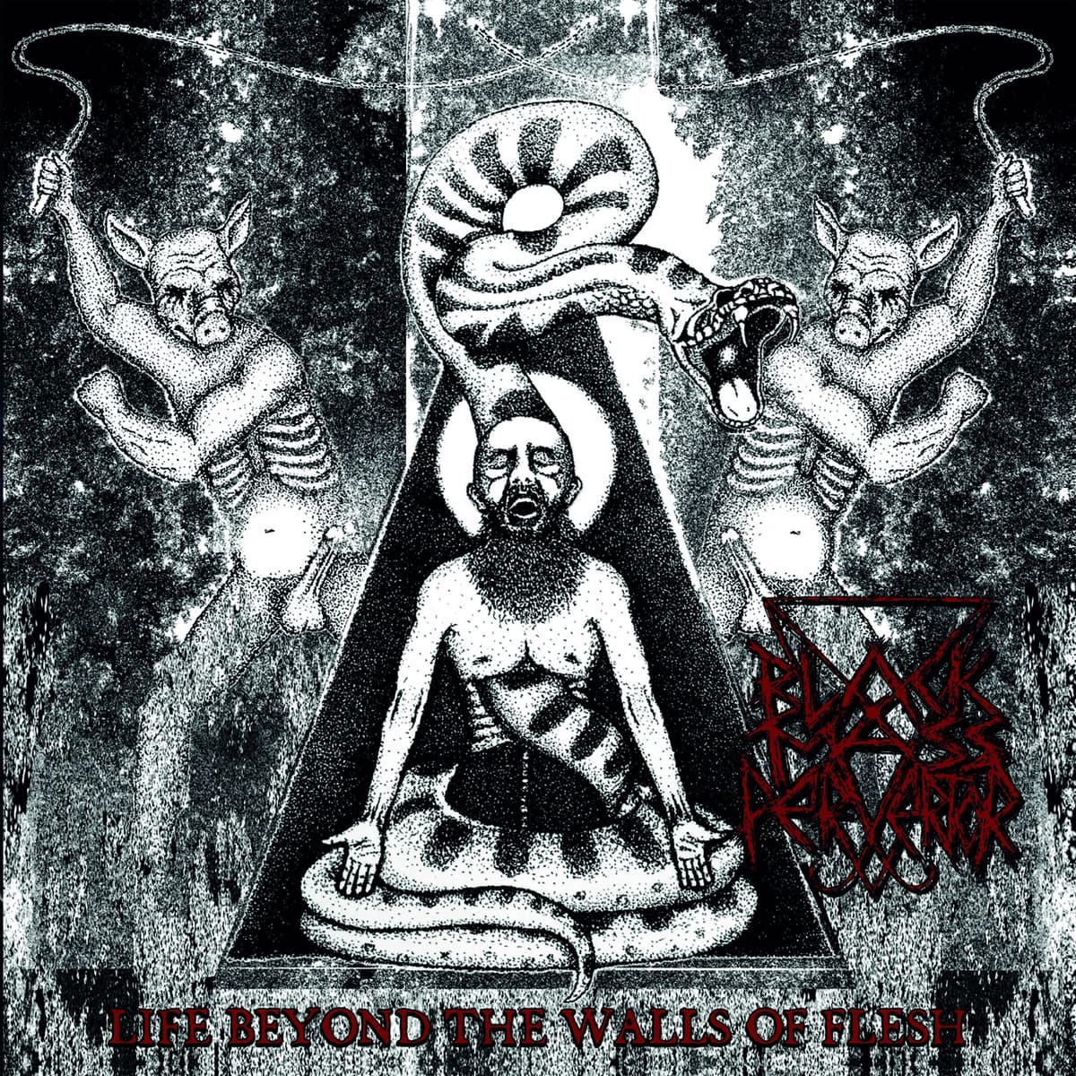 Life Beyond the Walls of Flesh