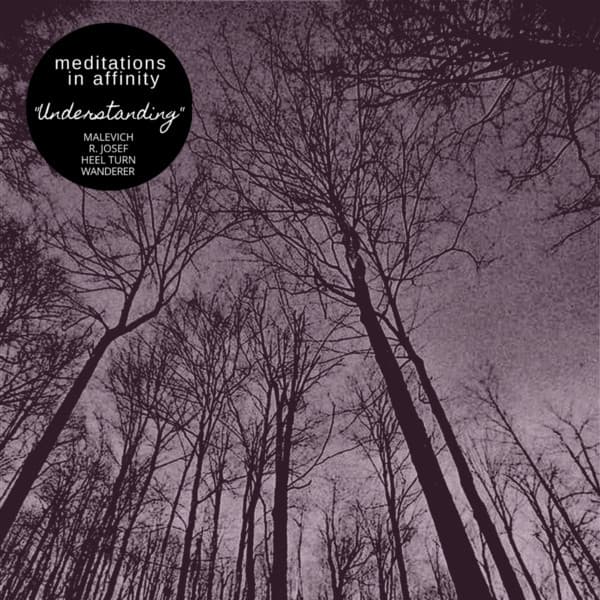 Meditations In Affinity: Understanding