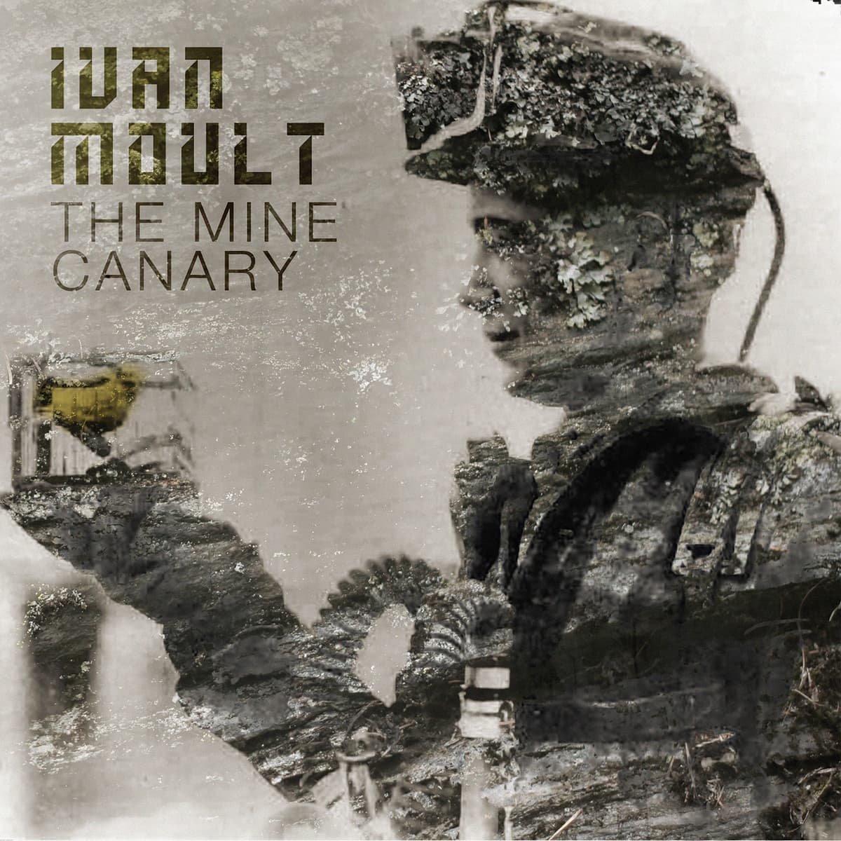 The Mine Canary