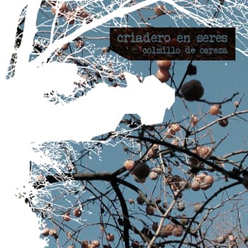 Colmillo De Cereza