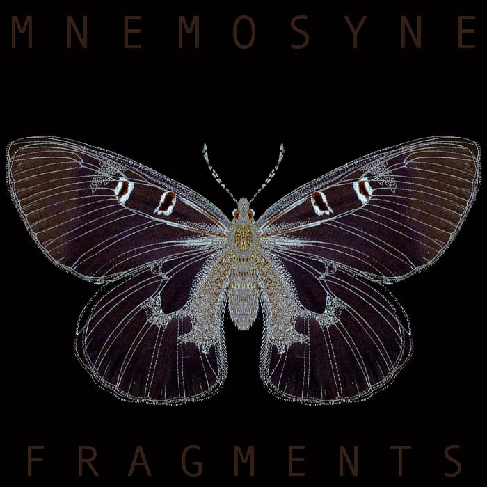 Fragments