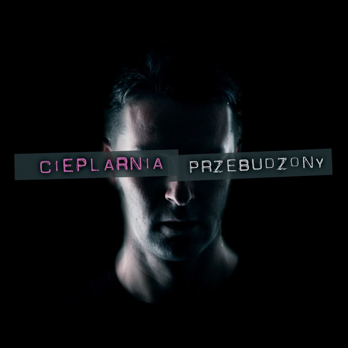 Przebudzony