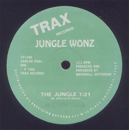 The Jungle