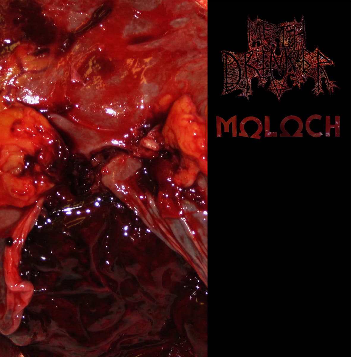 Meth Drinker / Moloch