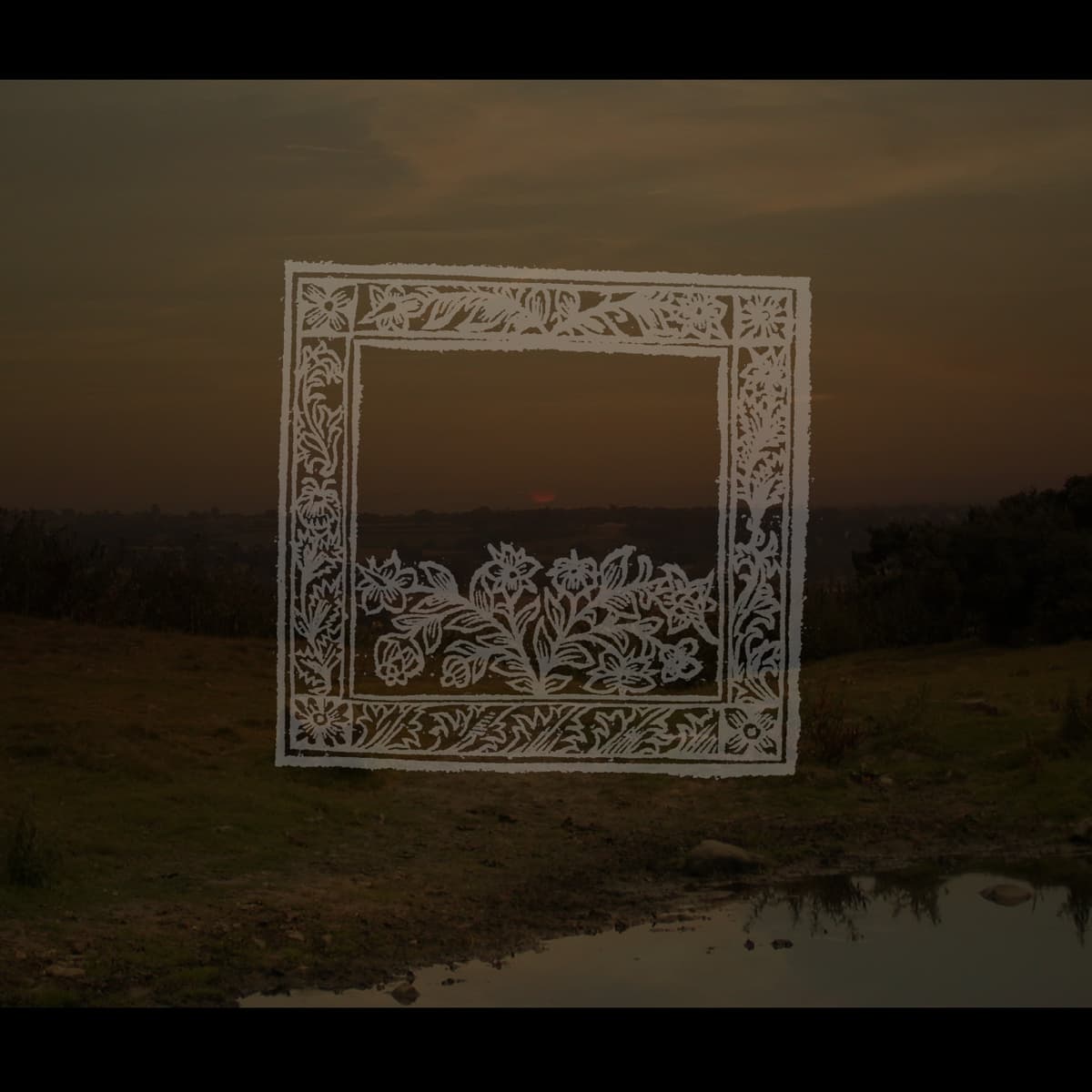 The Crooked Pool