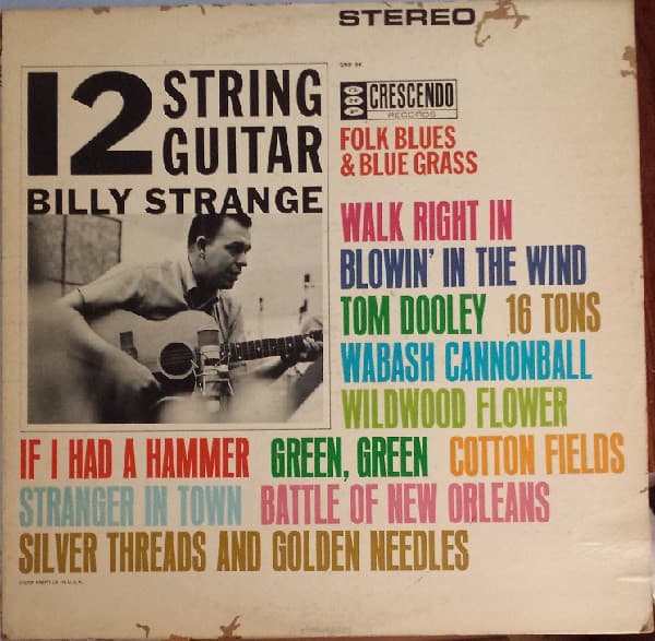 12 String Guitar