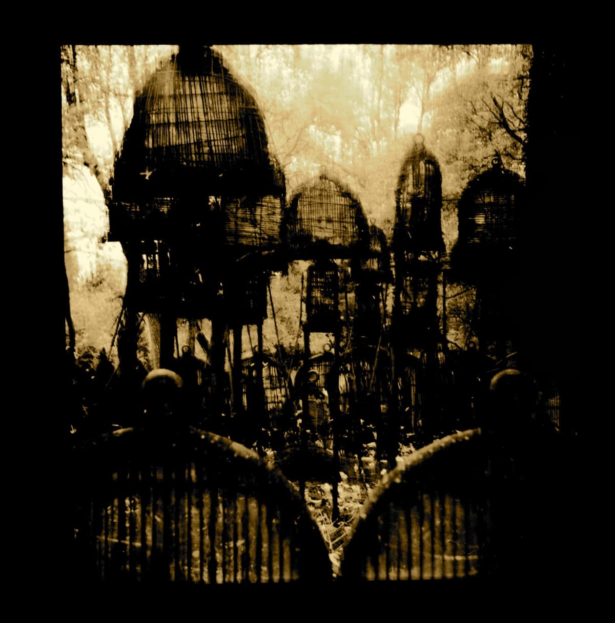 Apophasis