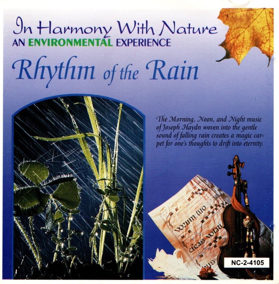 Rhythm of the Rain