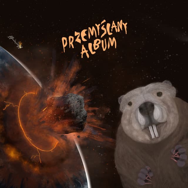 Przemyślany album