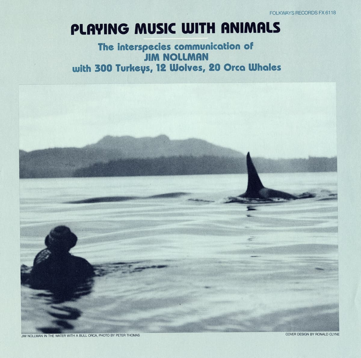 Playing Music With Animals: The Interspecies Communication of Jim Nollman With 300 Turkeys, 12 Wolves, 20 Orca Whales