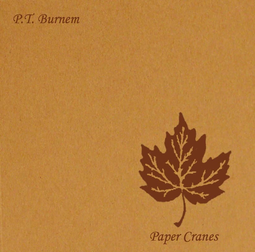 Paper Cranes