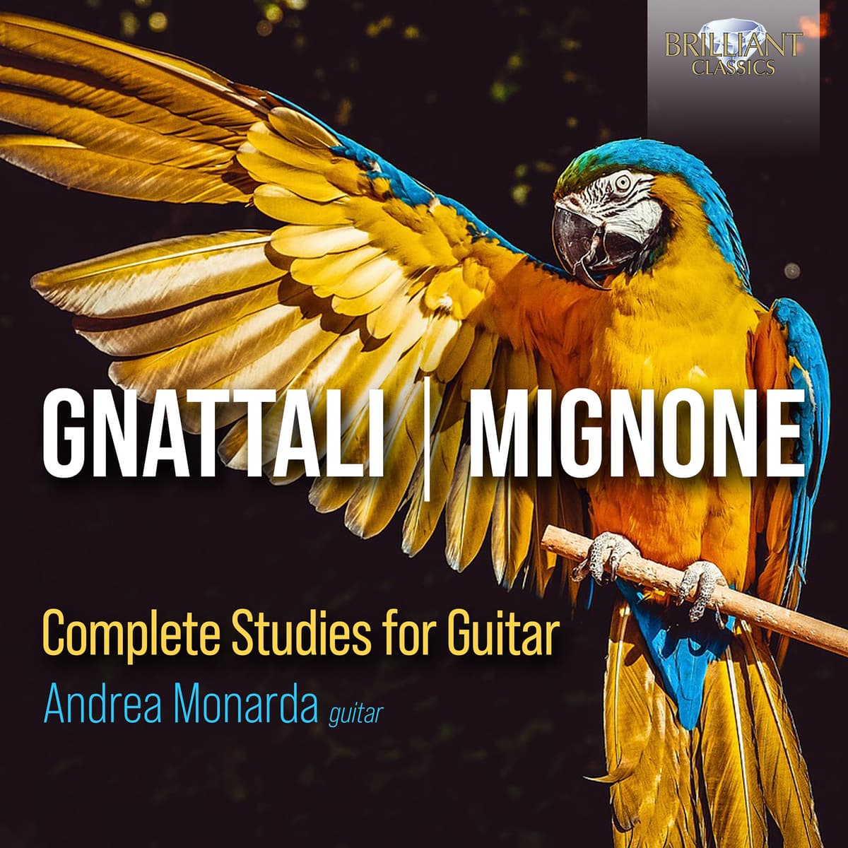 Complete Studies for Guitar