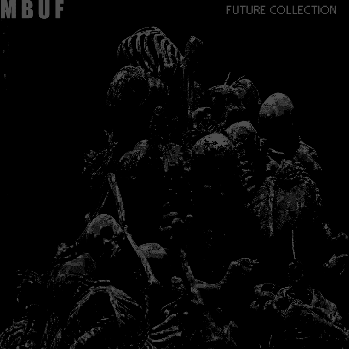 Future Collection