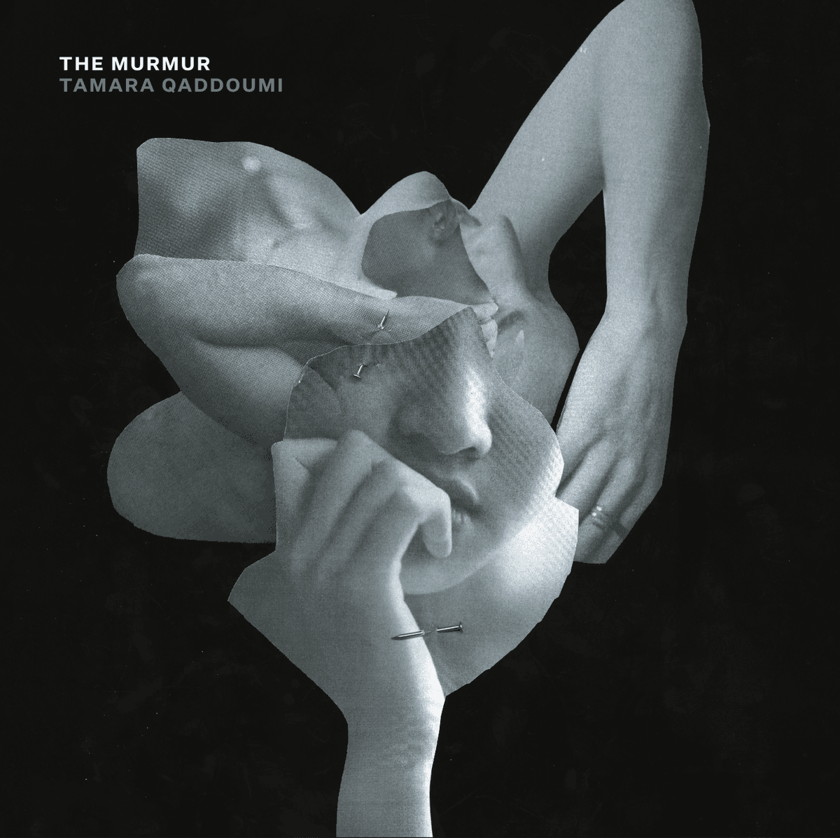 The Murmur