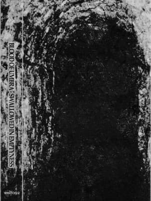 Swallowed in Emptyness