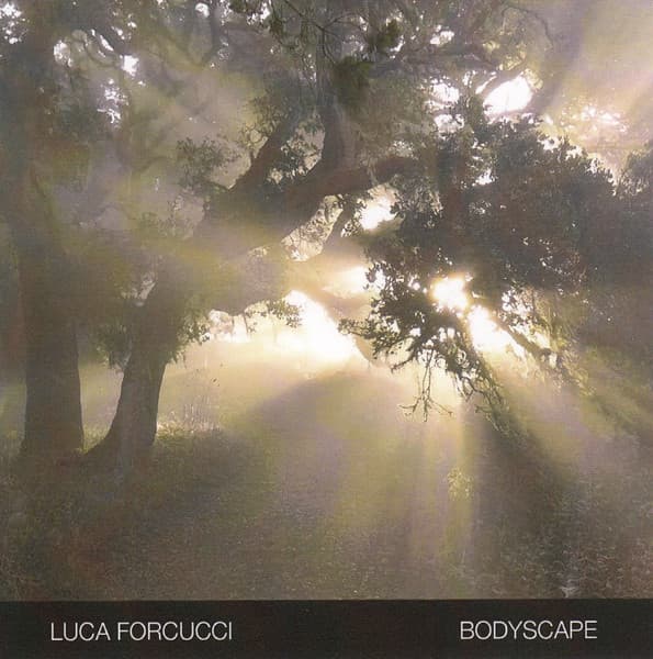 Bodyscape