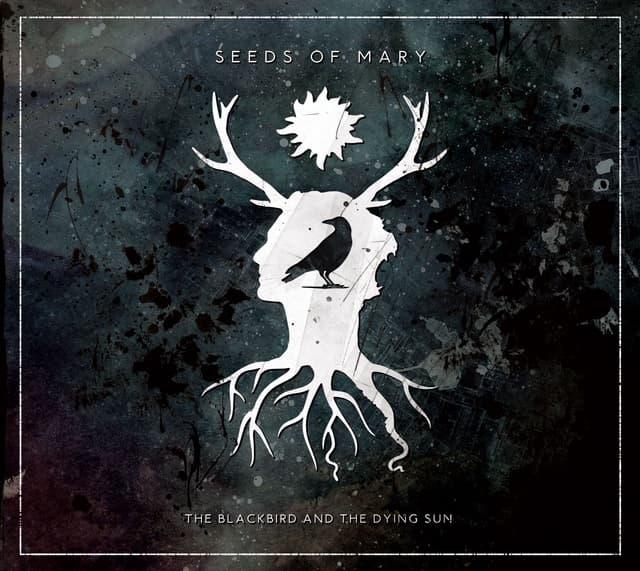 The Blackbird and the Dying Sun
