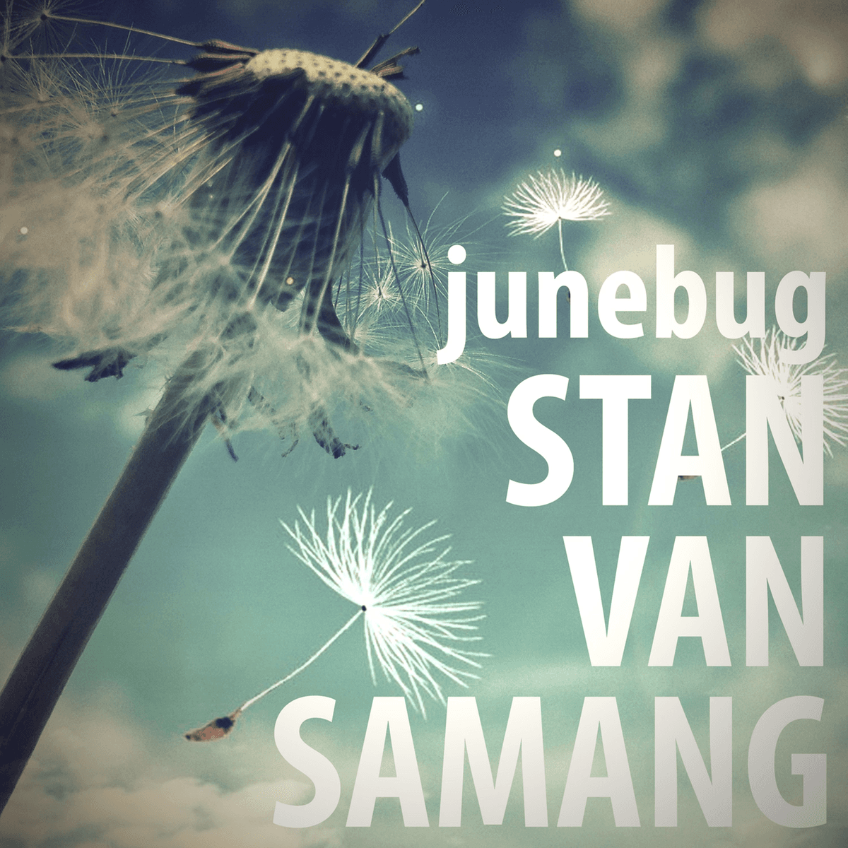 Junebug
