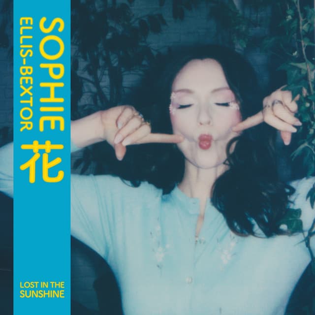 Lost in the Sunshine (Sudlow radio mix)