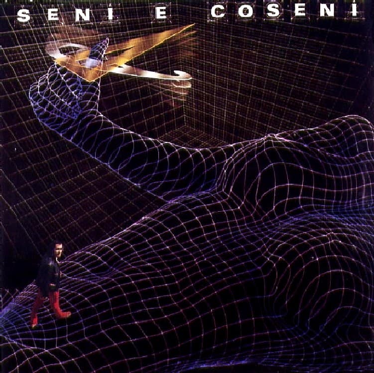 Seni e coseni