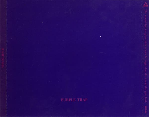 Purple Trap: The Wound That Was Given Birth to Must Be Bigger Than the Wound That Gave Birth